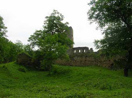 View larger image View larger image