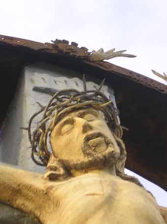 View larger image View larger image