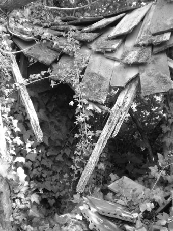 View larger image View larger image