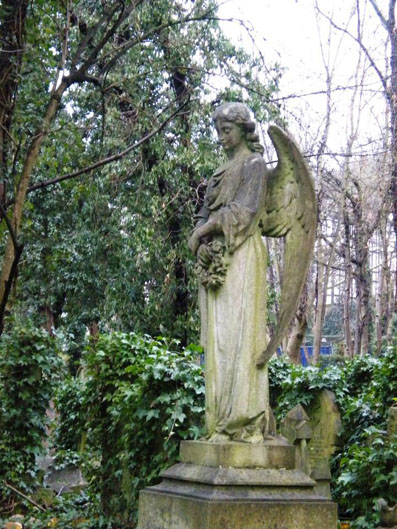 View larger image View larger image