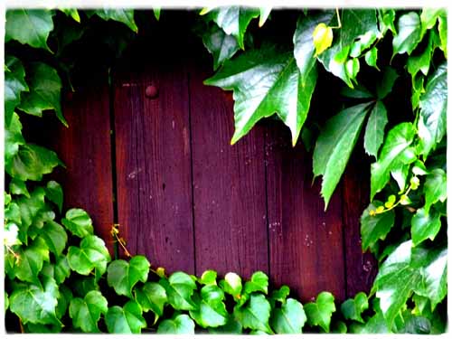 View larger image View larger image