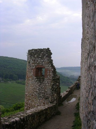 View larger image View larger image