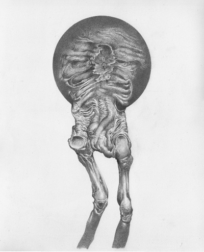 View larger image View larger image