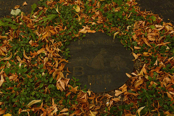 View larger image View larger image