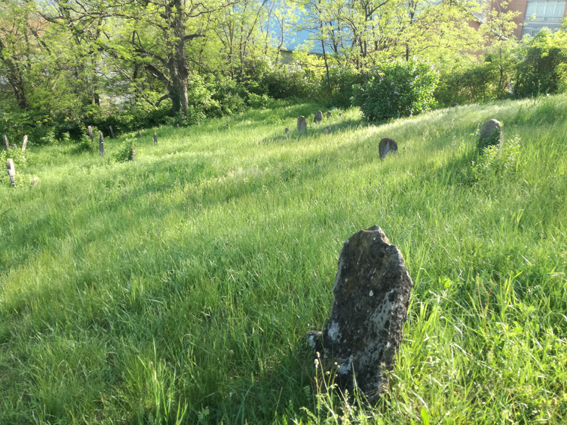 View larger image View larger image