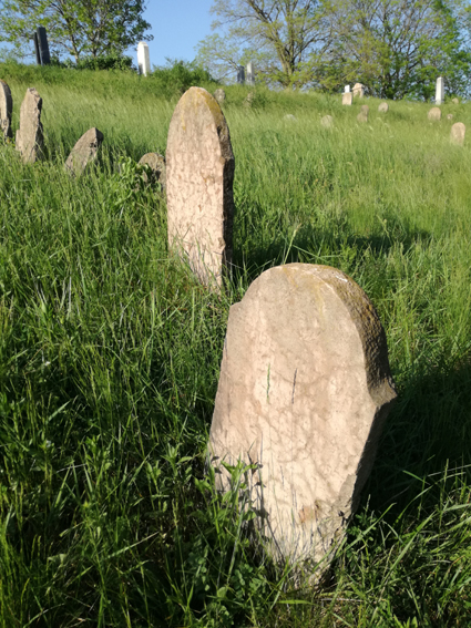 View larger image View larger image