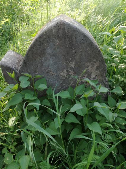 View larger image View larger image