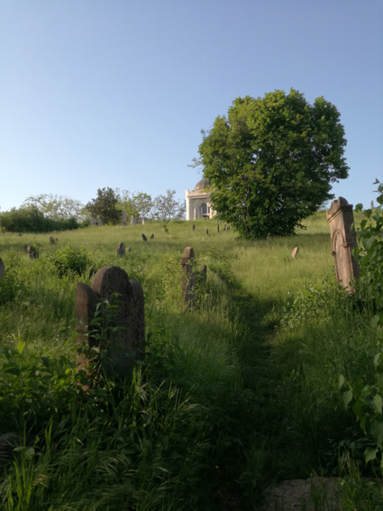 View larger image View larger image