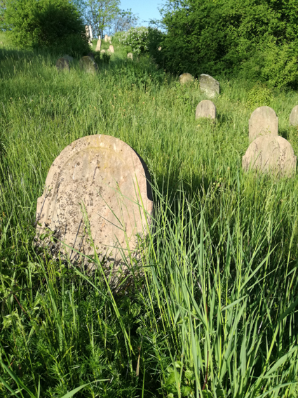 View larger image View larger image