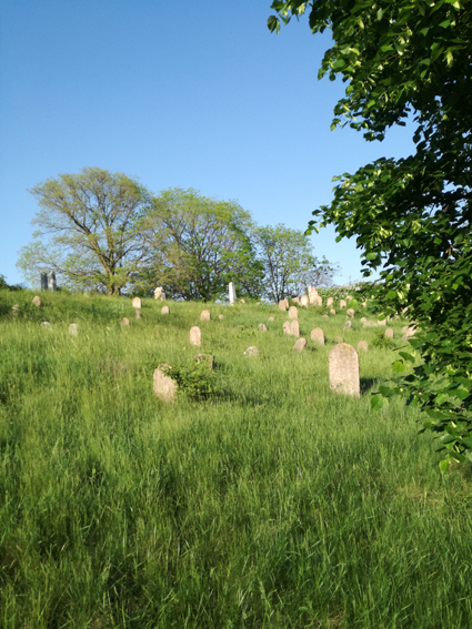 View larger image View larger image