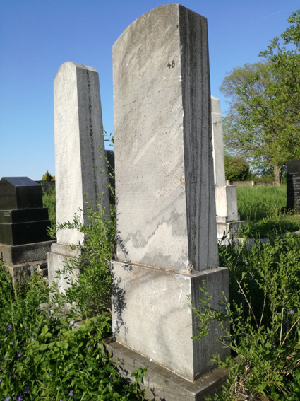 View larger image View larger image