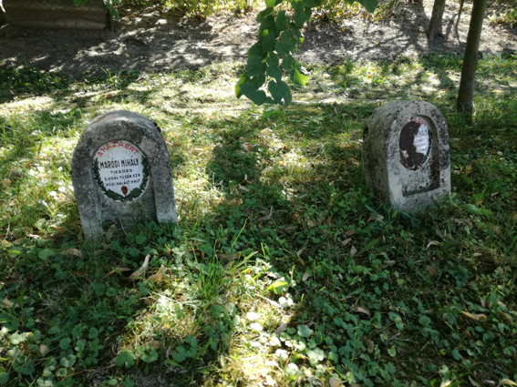 View larger image View larger image