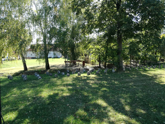 View larger image View larger image