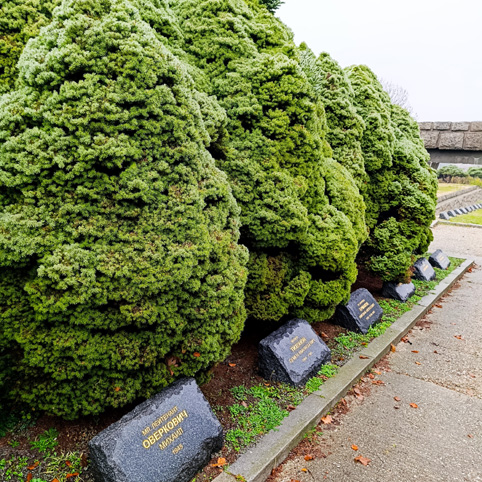 View larger image View larger image