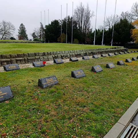 View larger image View larger image