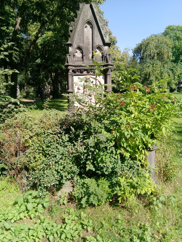 View larger image View larger image