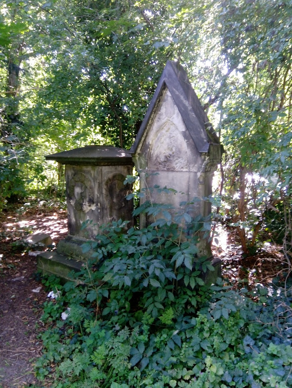 View larger image View larger image