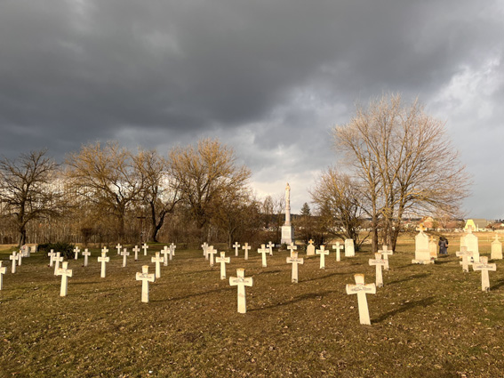 View larger image View larger image