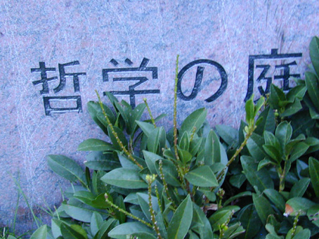 View larger image View larger image