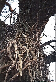 View larger image View larger image