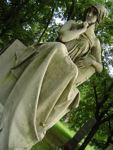 View larger image View larger image