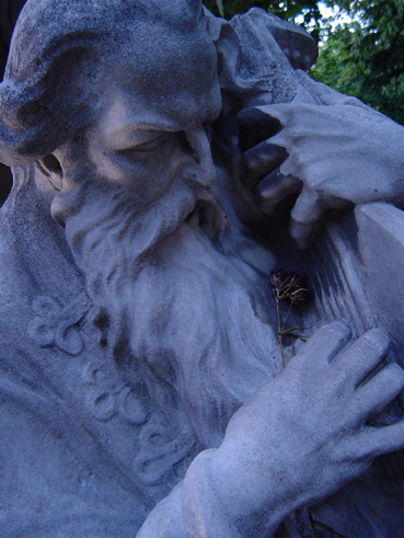 View larger image View larger image