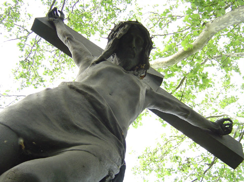 View larger image View larger image