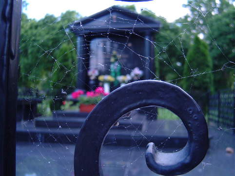 View larger image View larger image