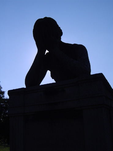 View larger image View larger image