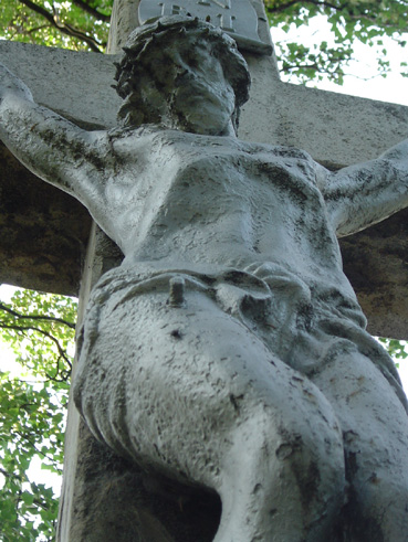 View larger image View larger image