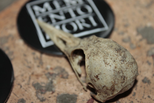 View larger image View larger image